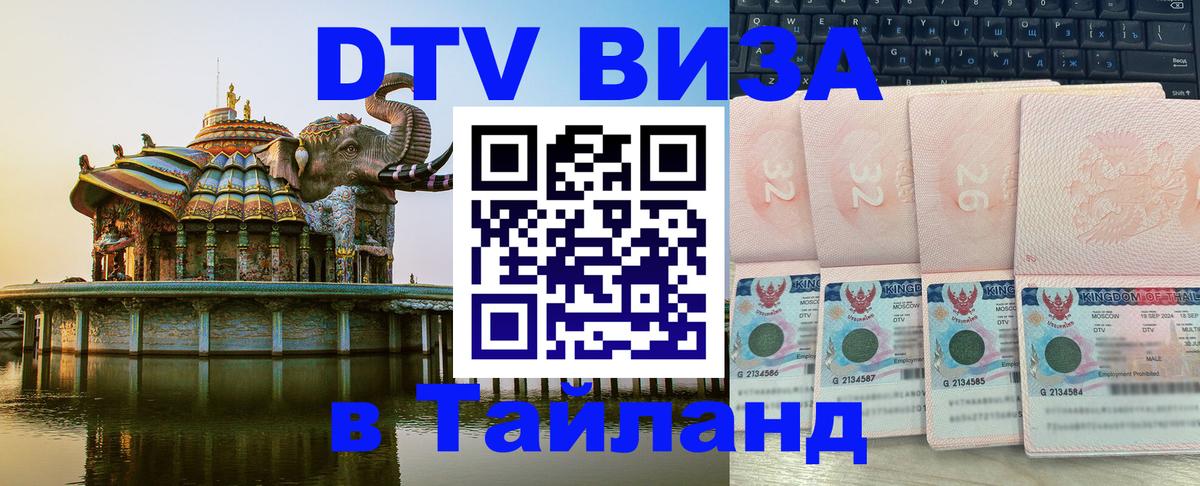 Оформление DTV визы под ключ: стоимость и тарифы, только загранпаспорт - Элиста  07.01.2026 